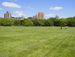 Central park