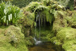 Waterfall in tropical garden