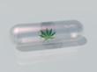 Medical Marijuana