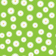 field of daisies