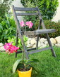 coin détente au jardin