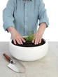 Photo: Planting Planting