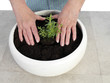 Photo: Planting Planting