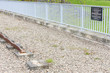 Photo: out of atrack on Laigh Milton Viaduct,East Ayrshire,Scotland out of atrack on Laigh Milton Viaduct,East Ayrshire,Scotland