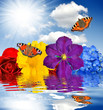 floral background with butterflies