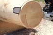 Chainsaw blade