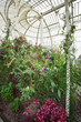 Greenhouse