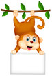 Cute monkey with blank sign
