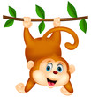 Cute monkey hanging