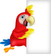 Macaw bird with blank sign