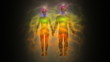 Woman and man energy body, aura, chakras