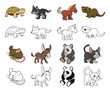 Cartoon Animal Illustrations
