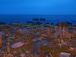 Abenddämmerung/Küste in Lohme auf Rügen