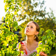 Photo: Pretty female gardener taking care of her lovely garden Pretty female gardener taking care of her lovely garden
