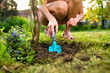 Photo: Pretty female gardener taking care of her lovely garden on a lov Pretty female gardener taking care of her lovely garden on a lov