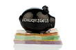 black piggy bank on money
