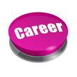 Push Button -  Career
