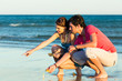 Couple looking for shells at sunset