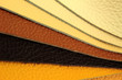 Natural leather upholstery samples