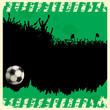 football fans crowd