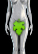 Digital Eve