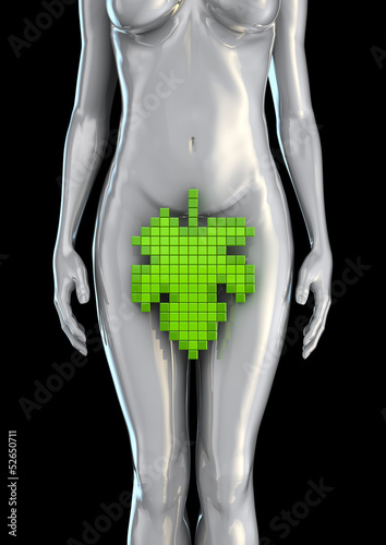 Illustration: Digital Eve Digital Eve