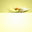 Parrot sitting on blank banner