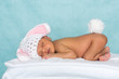 Photo: Little rabit baby Little rabit baby