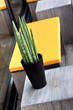 Terrasse, patio, jardin, maison, décoration, meuble, plante