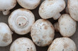 Fresh large field mushrooms