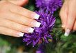 Foto: French weiss mit Muster French weiss mit Muster