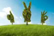 Positive tree
