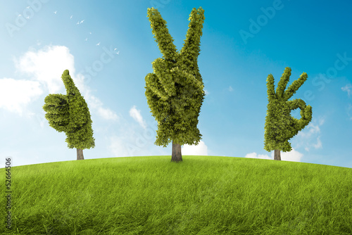 Illustration: Positive tree Positive tree