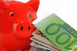 sparschwein mit euro