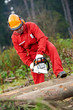 Photo: Lumberjack Worker With Chainsaw In The Forest Lumberjack Worker With Chainsaw In The Forest