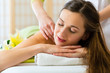 woman having a wellness back massage