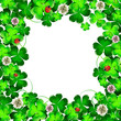 Background with clover ,flower and ladybug