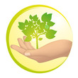 Vektor: Arbre au creux d'une main Arbre au creux d'une main