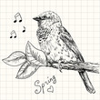Vector: sparrow sparrow