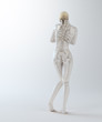 Female anatomy