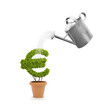 Illustration: Potplant shaped like a euro symbol Potplant shaped like a euro symbol