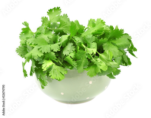 Photo: Coriander Coriander