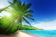 beach in sunset time on Mahe island in Seychelles