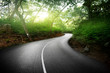 empty road in jungle of Seychelles islands