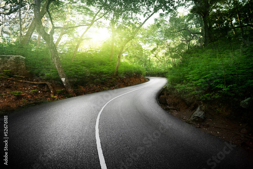 Photo: empty road in jungle of Seychelles islands empty road in jungle of Seychelles islands