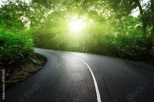 Photo: empty road in jungle of Seychelles islands empty road in jungle of Seychelles islands