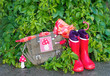 young scout equipment