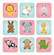 animal babies