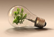 Studio shot of a light bulb with a tree inside it