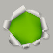 Green torn paper vector